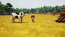 Magnolia and Ruth: Hide and Seek Screenshot 2