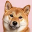 Possible Future icon