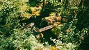 The Game Maker: A Carol Reed Mystery Screenshot 5