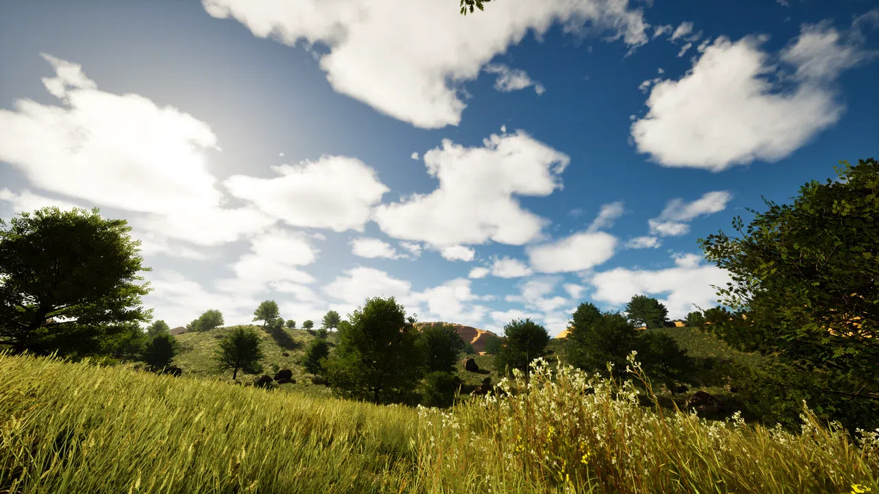 Blank Canvas Screenshot 3
