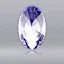 First Companion icon