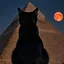 You will be reborn as a cat icon