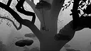 Meowment Screenshot 4