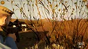 The Forged Show of War Screenshot 1