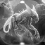 Level 20 icon