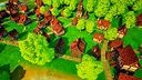 Skyline Settlers Screenshot 2