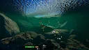 Fish Bash Screenshot 6