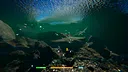 Fish Bash Screenshot 2