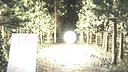 Fragments Demo Screenshot 1