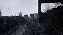 WE’RE STILL HERE Screenshot 1