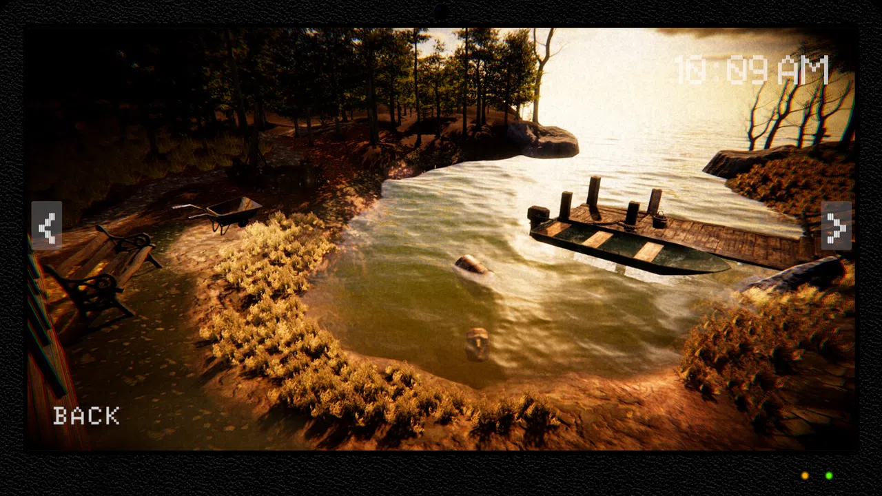 Anomaly Hours: Forest Cabin Screenshot 8