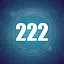 Completed 222 Mazes icon