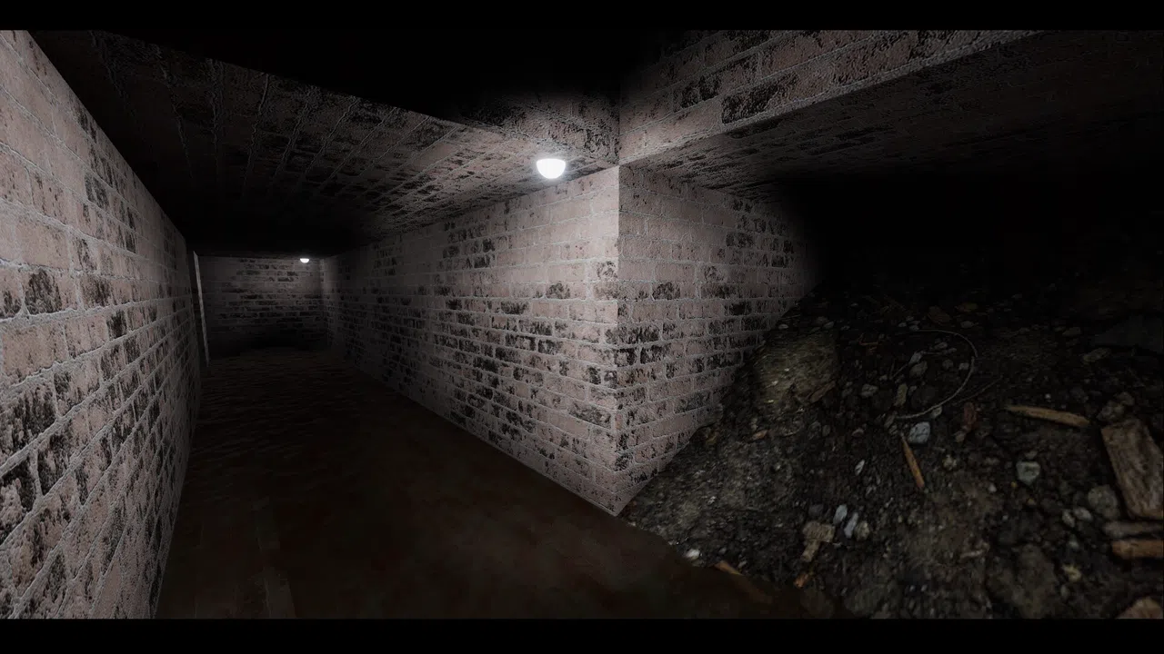The Lakeview Orb Screenshot 7