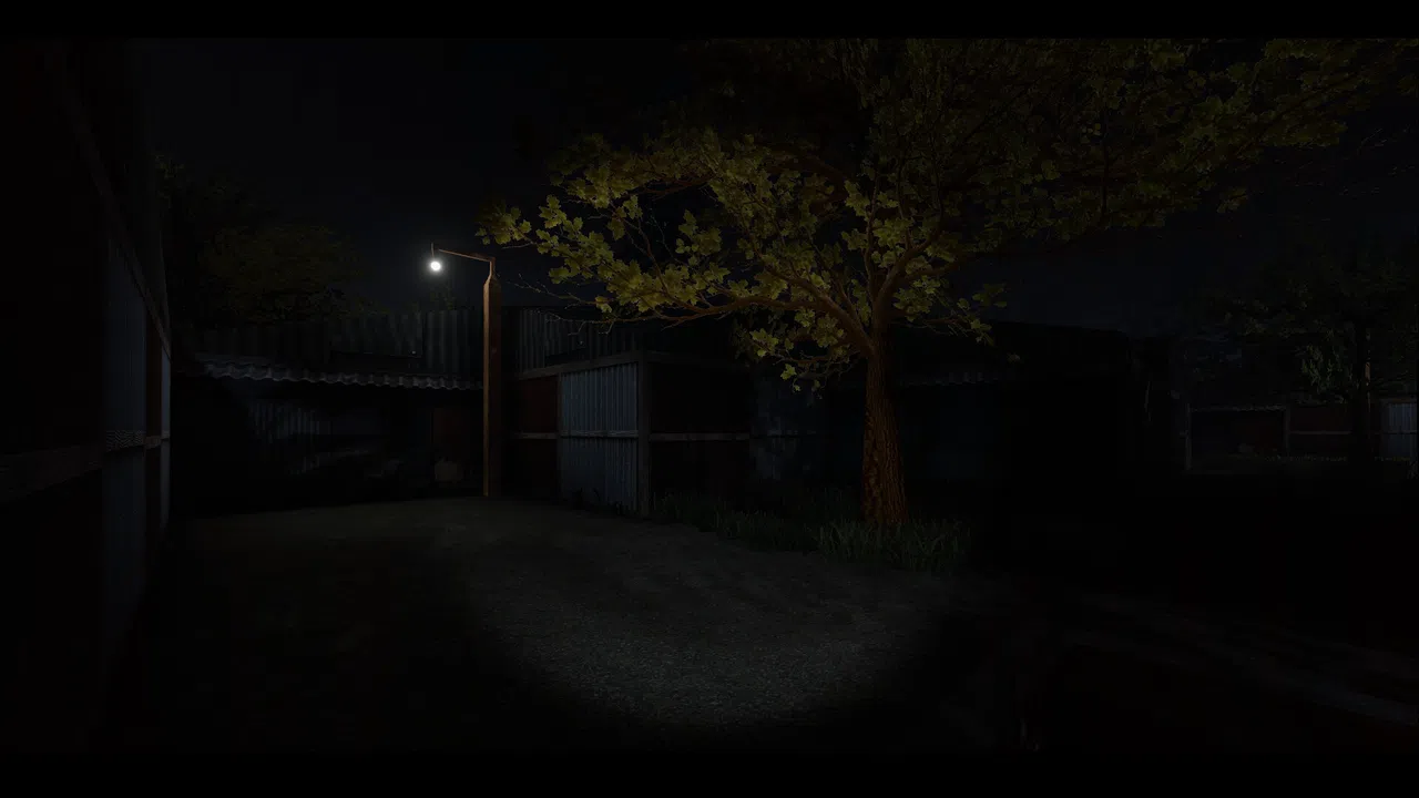 The Lakeview Orb Screenshot 5