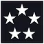 Five Star Dealership icon