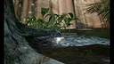 The Mushroom Adventrue:Call of Distant Realms Demo Screenshot 0