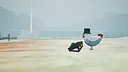 Get Clucked Screenshot 15