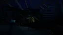 Parrotdome Screenshot 4