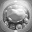 Level 44 icon