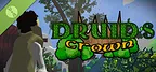 Druid's Crown Demo