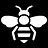 wasps