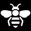 wasps icon