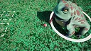Pet Hunter: Capture Screenshot 4