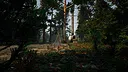Kingdom of Poland: 1410 Demo Screenshot 1