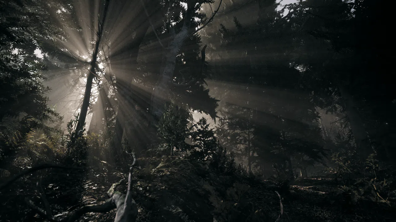 Nature of Dread Screenshot 4