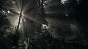 Nature of Dread Screenshot 4