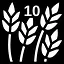 First Cut icon