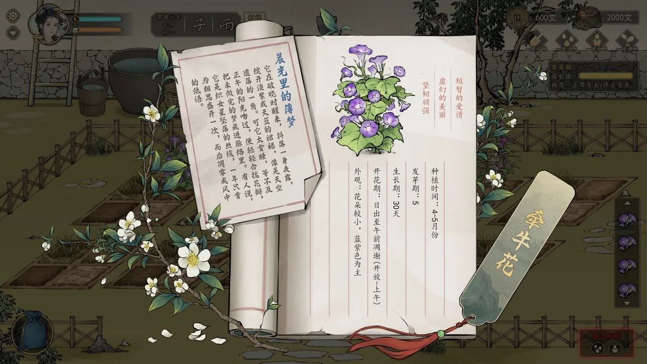 颂声·市井小神仙 Screenshot 7