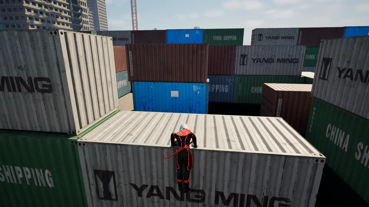 Rise In Borderland Screenshot 2