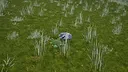 Paws & Circuits: Reboot Earth Screenshot 3