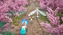 Palworld: Palfarm Screenshot 11
