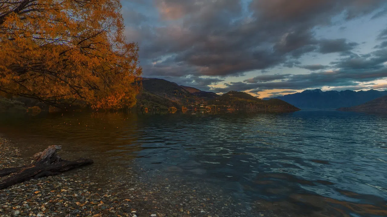 Real VR Fishing - Oceania DLC Screenshot 3