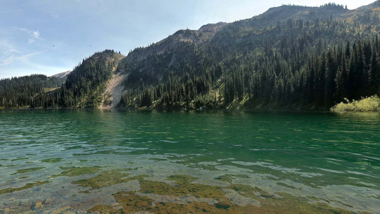 Real VR Fishing - Canada DLC Screenshot 4
