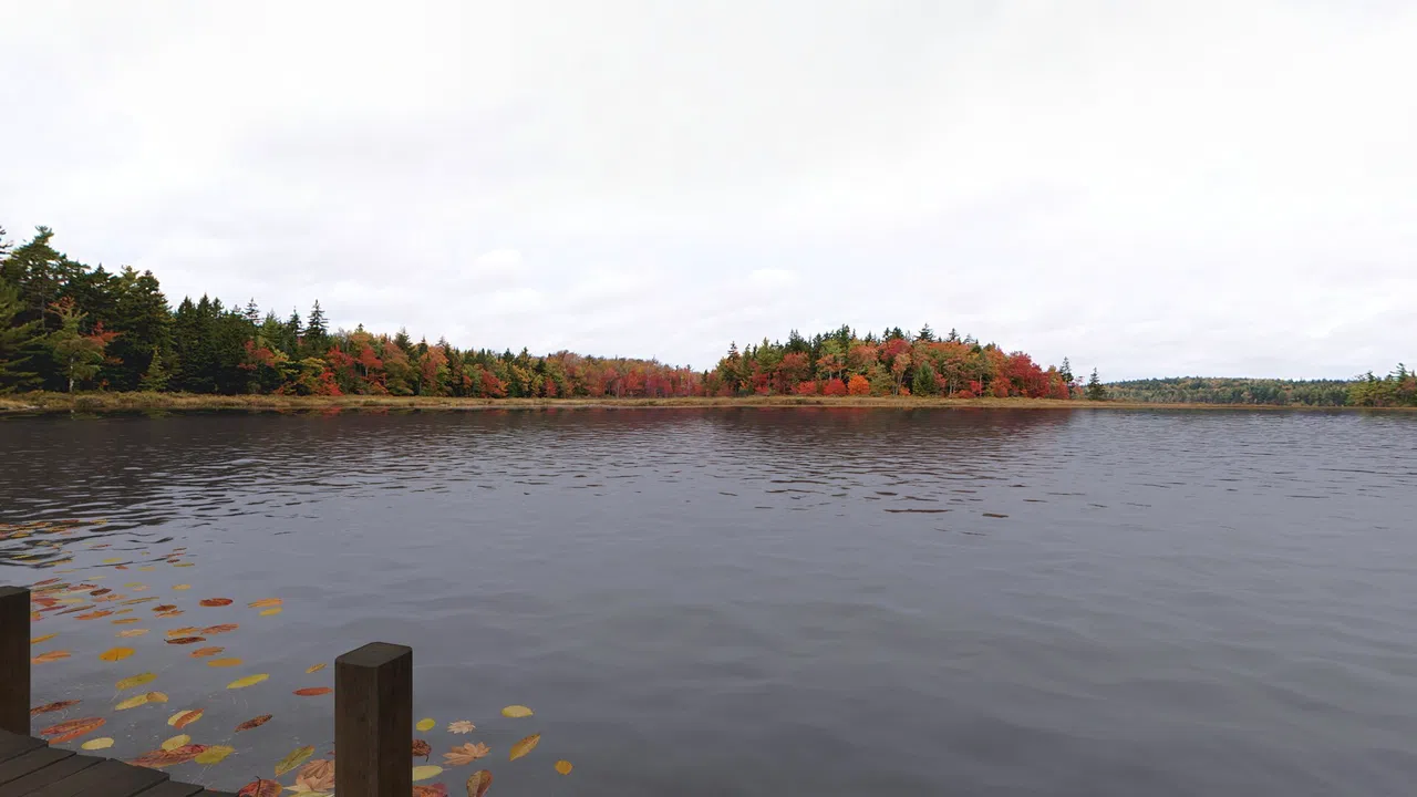 Real VR Fishing - Canada DLC Screenshot 1