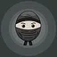 Stealth And Honor icon