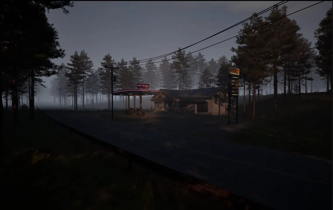 Ash Road: Infection Screenshot 0