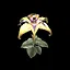 Ashes of ambition icon