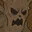 LEVEL 5 icon