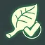 Welcome to the forest icon