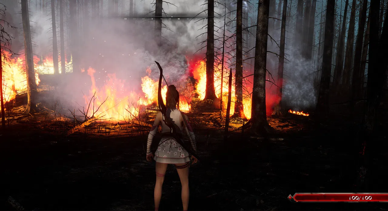 Ronin Awakening Screenshot 3