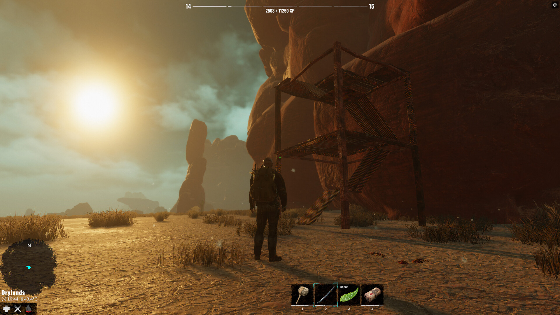 Plains of Pain Screenshot 25