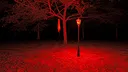 Forest of Fear - Into the Woods Screenshot 2