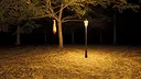 Forest of Fear - Into the Woods Screenshot 3