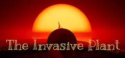 The Invasive Plant