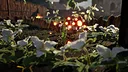 The Invasive Plant Screenshot 1