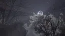 Hollow Ascent Screenshot 6